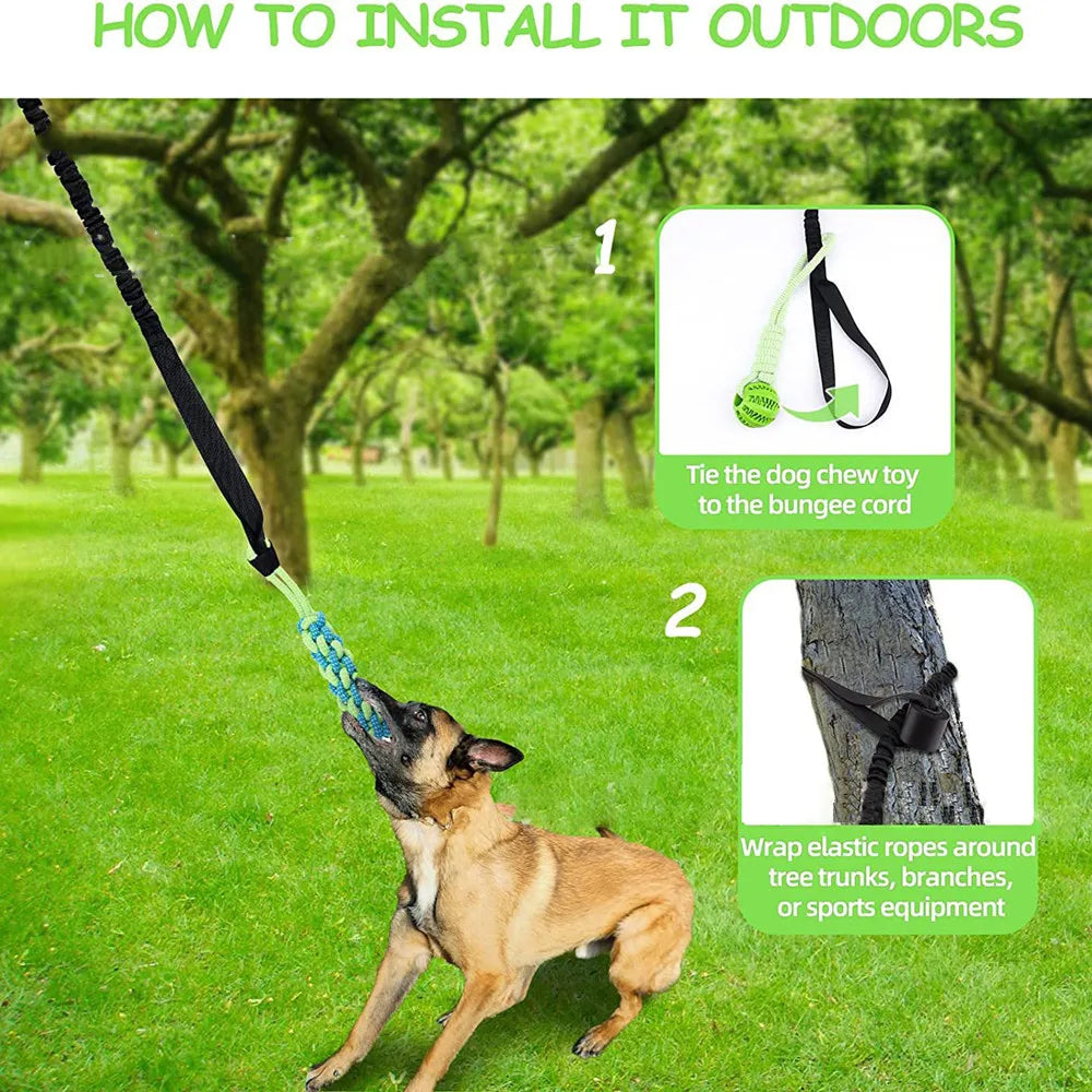 Interactive Tug-of-War Dog Toy