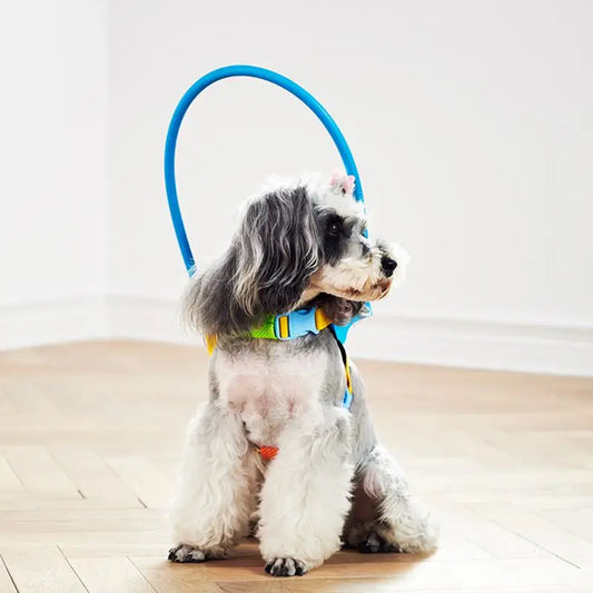 Adjustable Blind Dog Harness