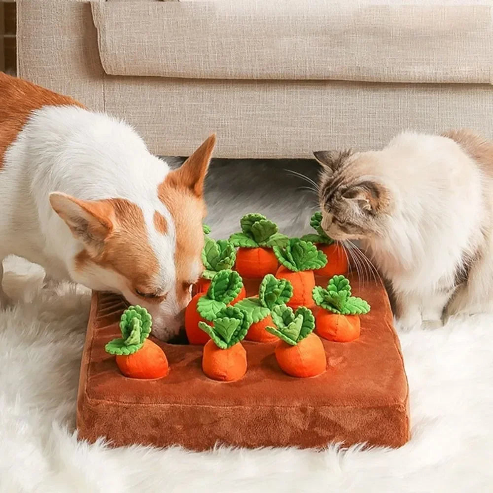 Carrot Snuffle Mat Toy