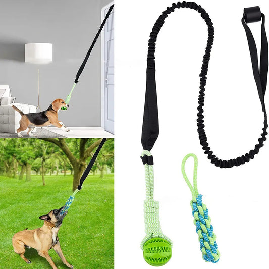 Interactive Tug-of-War Dog Toy
